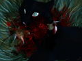 as_we_fade_in_the_dark_by_wyethcat-d60tlqg.png